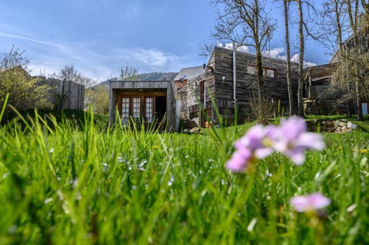 Der Baum Hideaway Apartment Inzersdorf im Kremstal Exterior photo