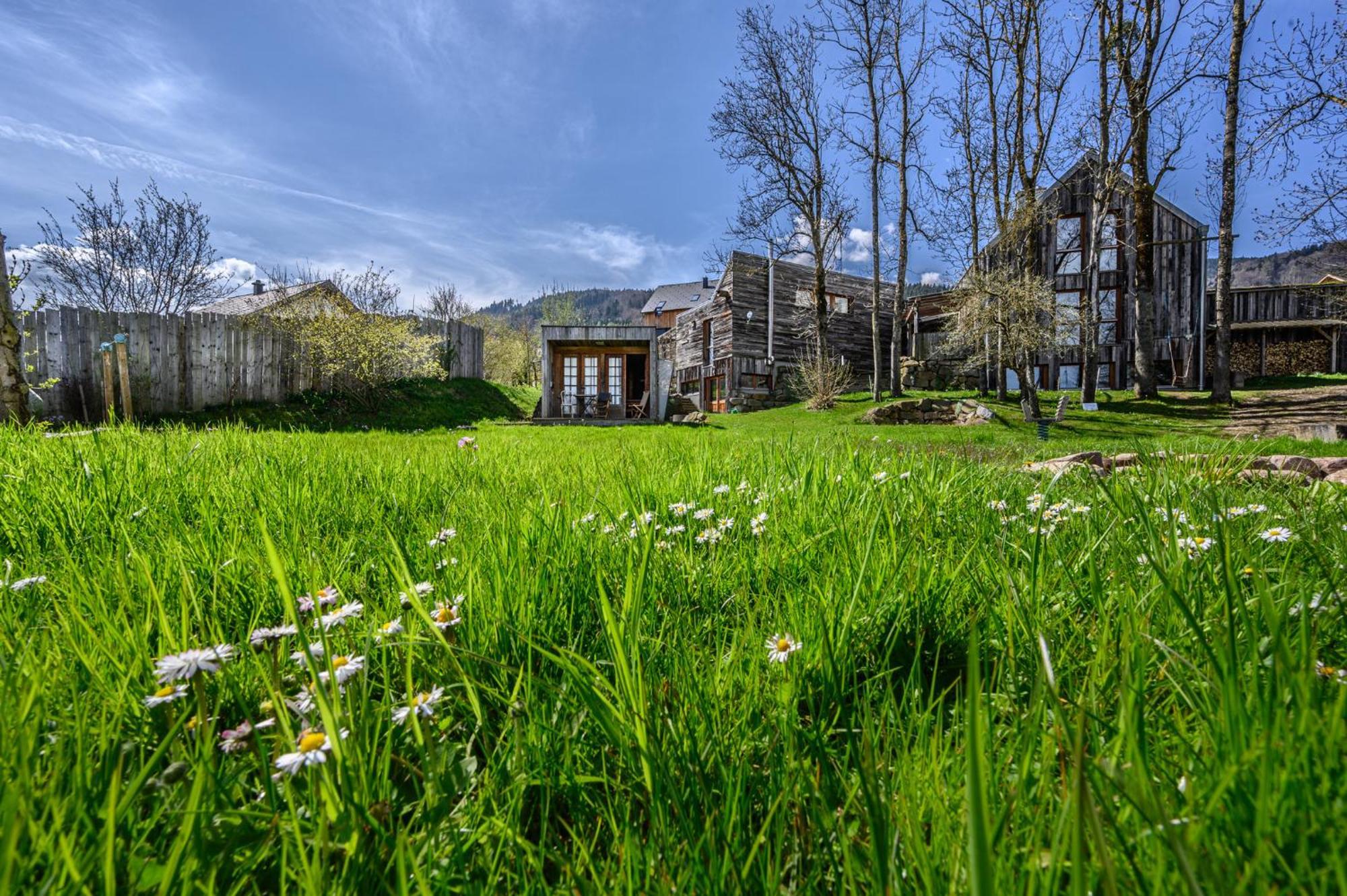 Der Baum Hideaway Apartment Inzersdorf im Kremstal Exterior photo